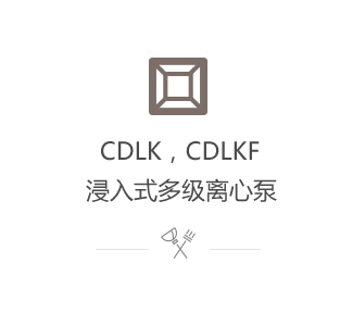 CDLK，CDLKF浸入式多級(jí)離心泵